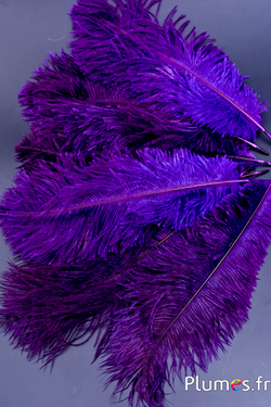 Autruche - 30-40 cm - gris naturel-aubergine